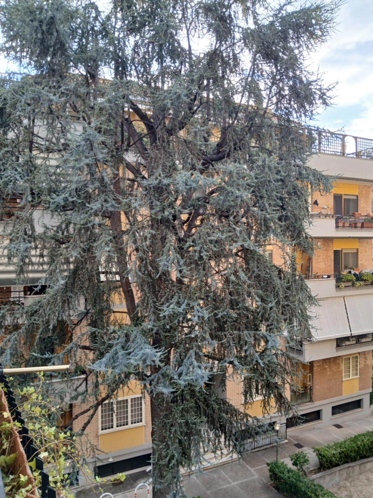 Ferienwohnung La Casa Di Antonella E Giuseppe Rom Exterior foto